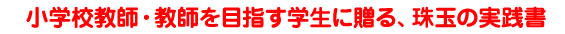 小学校教師・教師を目指す学生に送る実践書